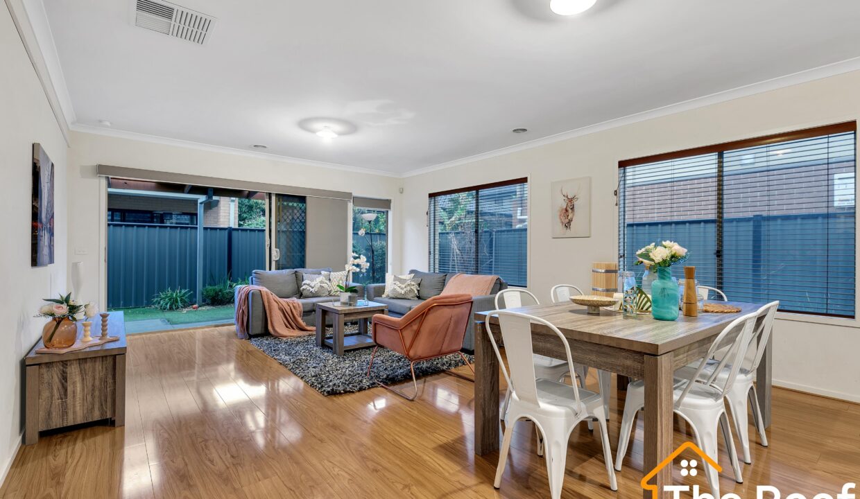 96895565__1720079195-96895565__1719907447-99798-2C5A5894