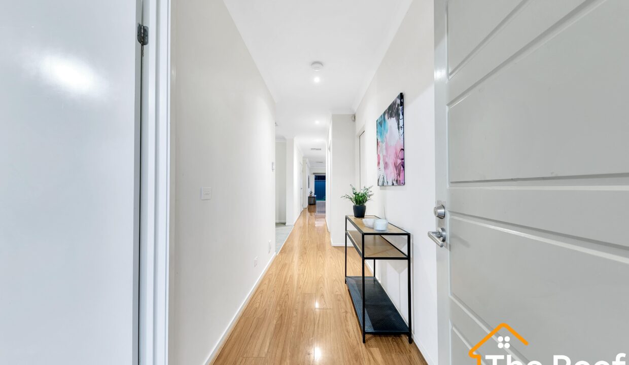 96895573__1720079195-96895573__1719907464-99812-2C5A5844