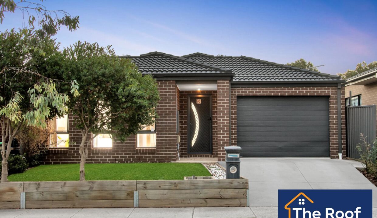 88349569__1722500485-88349569__1713751674-27449-019Grass