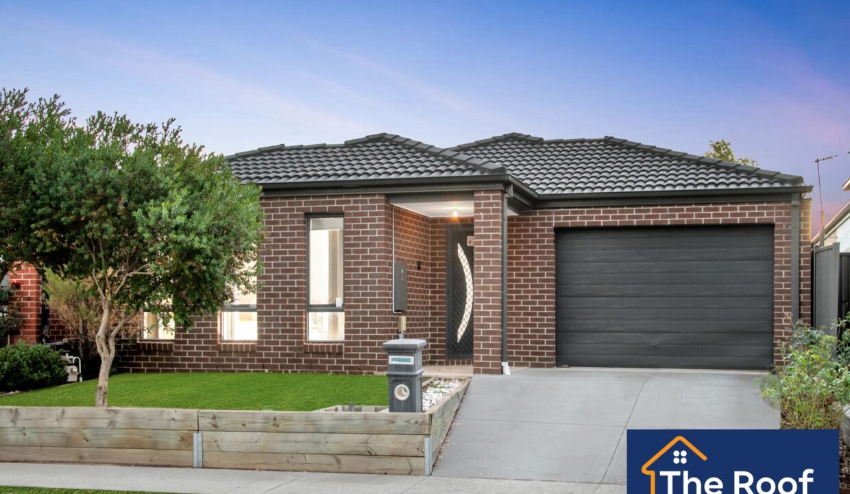 88349572__1722500485-88349572__1713751676-68492-018Grass