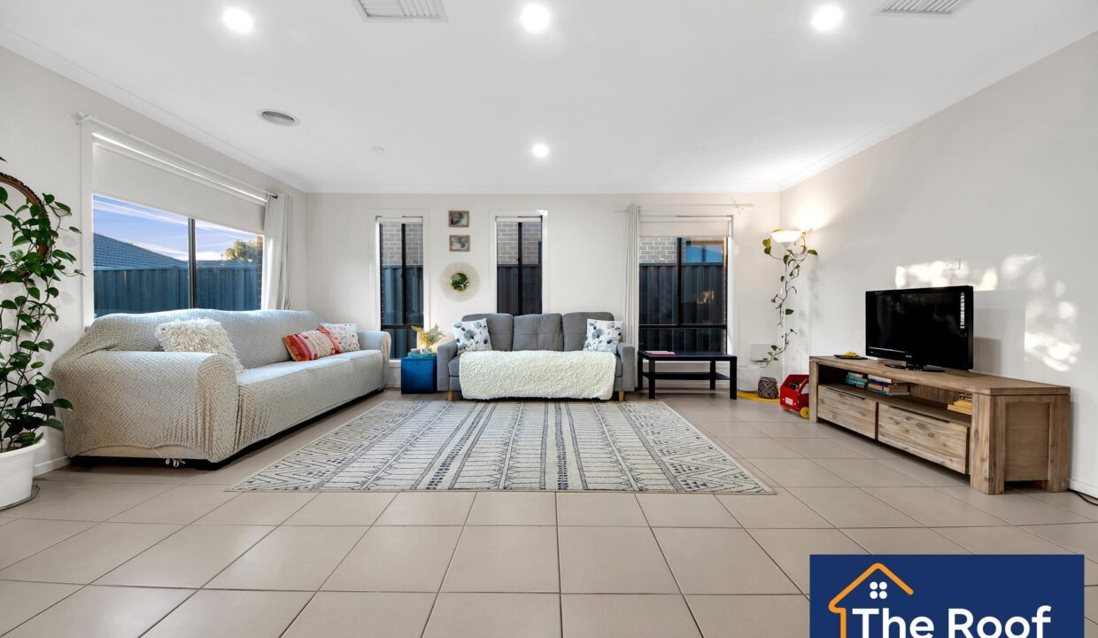 88349576__1722500485-88349576__1713751679-61961-0161