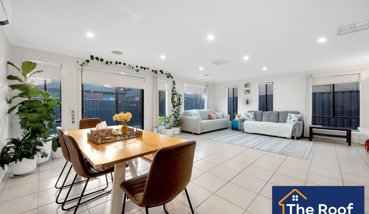 88349583__1722500485-88349583__1713751687-33442-0131