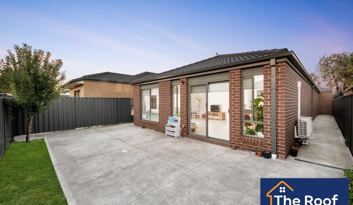 88501761__1722500486-88501761__1713835123-28674-017Grass