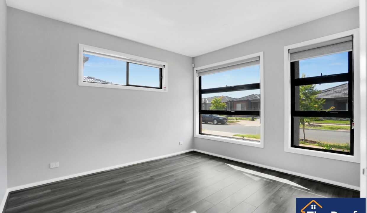 135483542__1739420449-135483542__1739420433-135483082__1739420118-175666-01