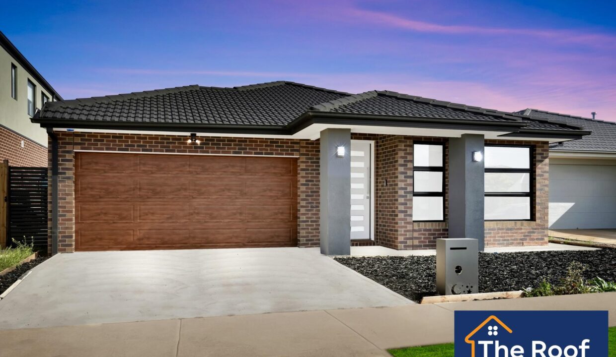 135484297__1739420677-177222-02