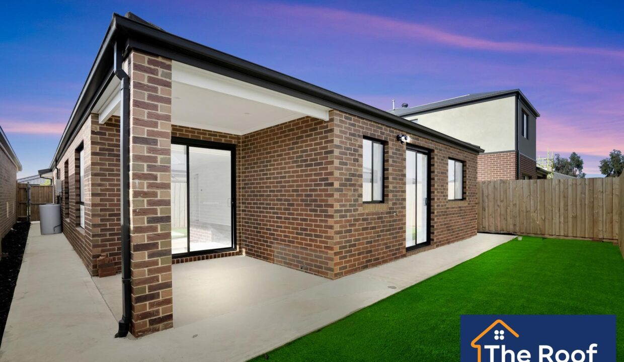 135484664__1739420879-177203-01