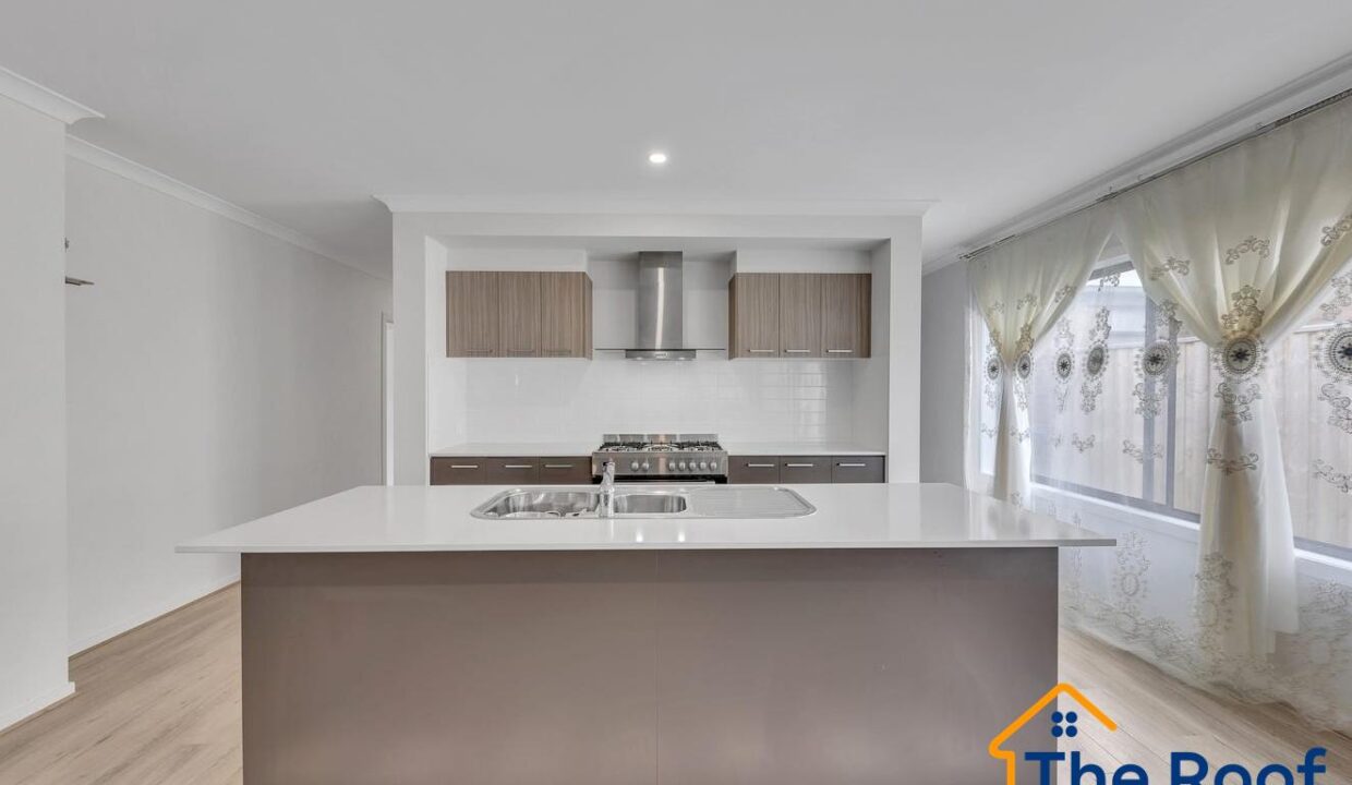 151784919__1750127070-151784919__1750126903-47611-image1