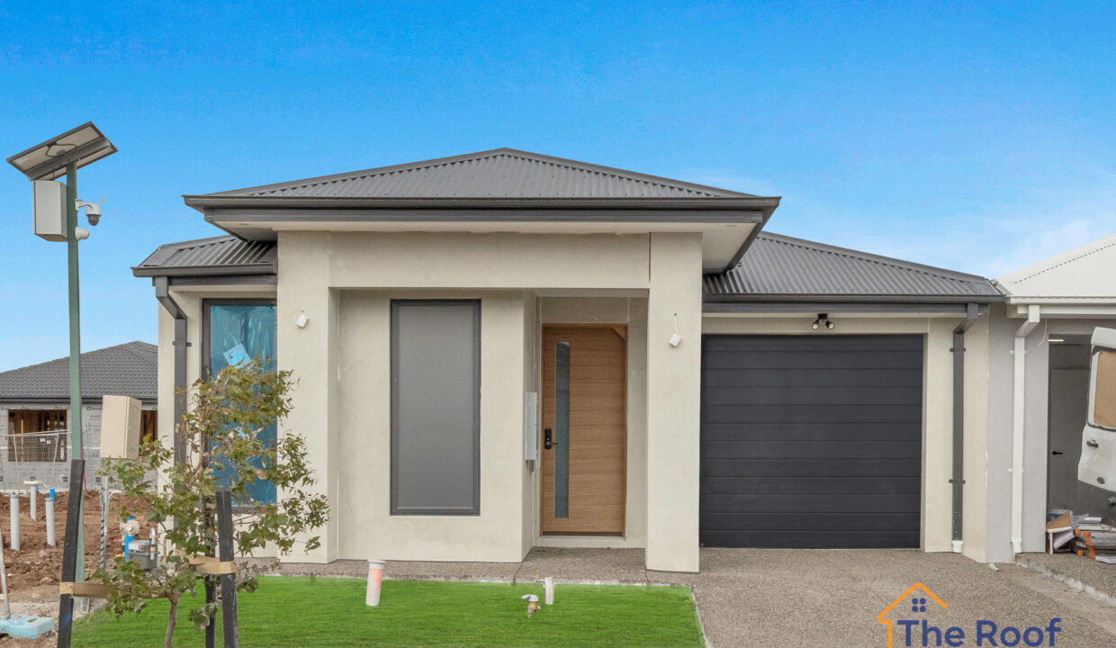 168452918__1760668383-66390-OSMEDIA10-GRASS