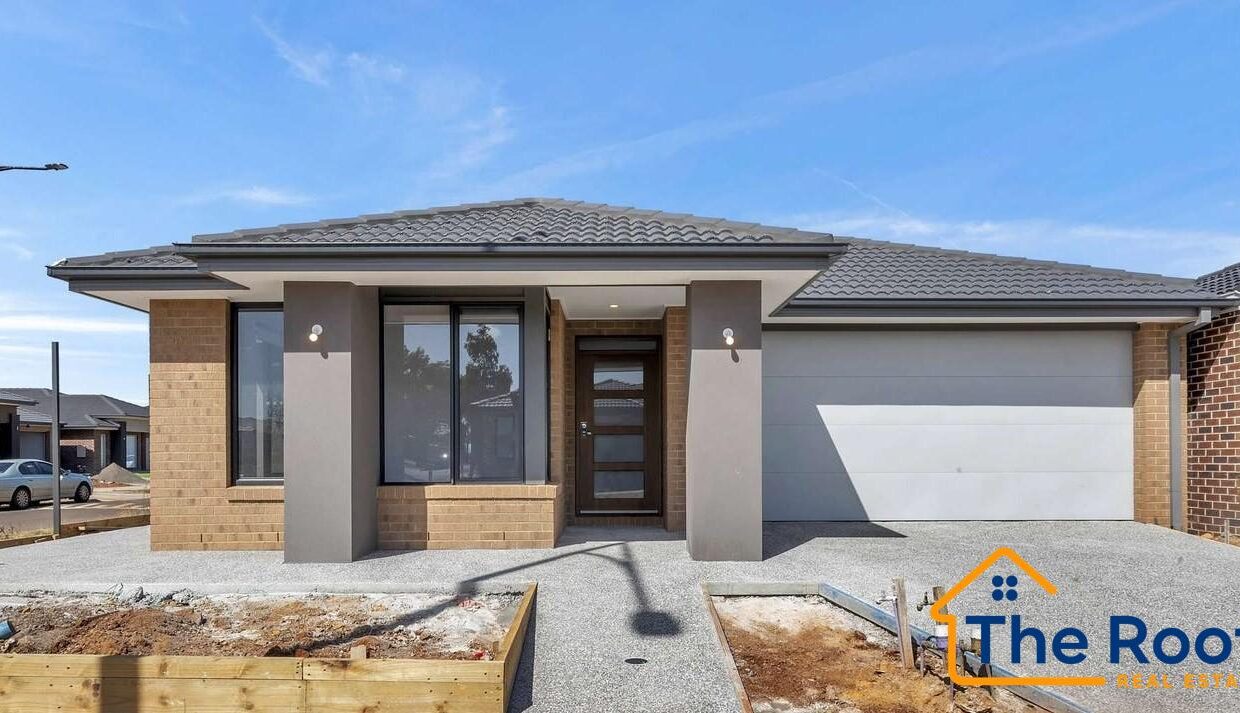 168895046__1761002350-168814114__1760943665-120118-main11