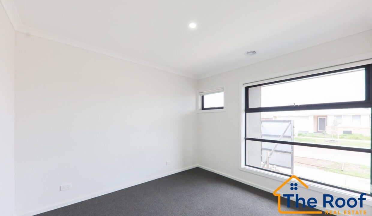 174241872__1762837508-174241872__1762832424-82561-3939db21-d6ba-4b84-a7fe-45f66df2d110