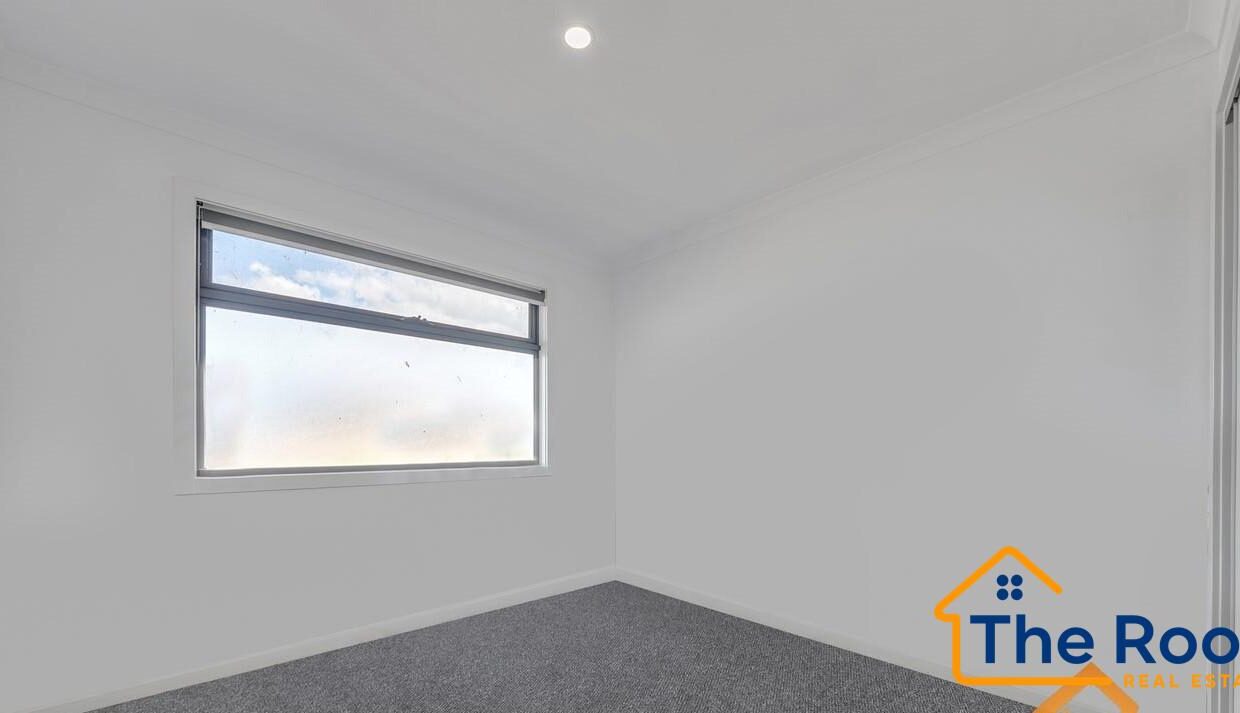 174686934__1763002900-174686934__1763002426-73050-image910