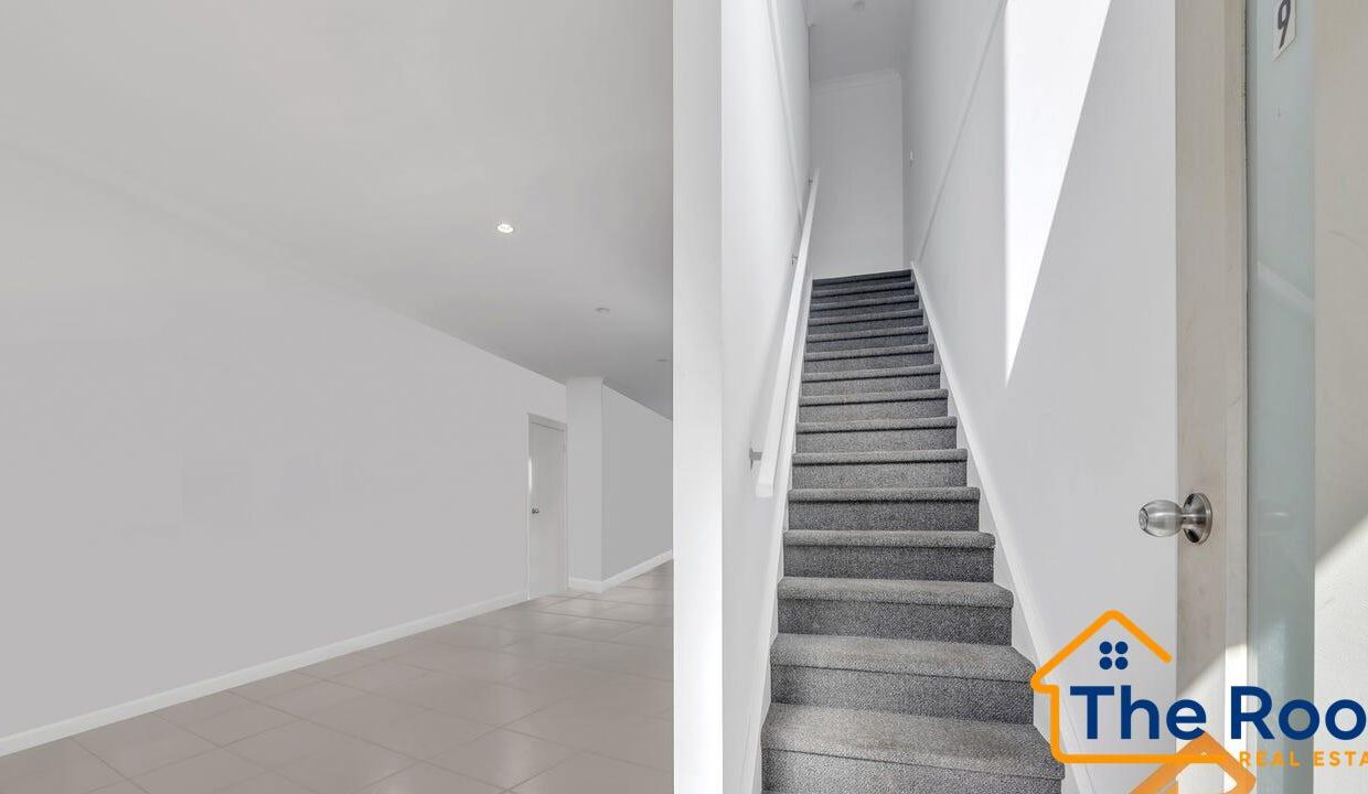 174686956__1763002900-174686956__1763002444-60137-image312