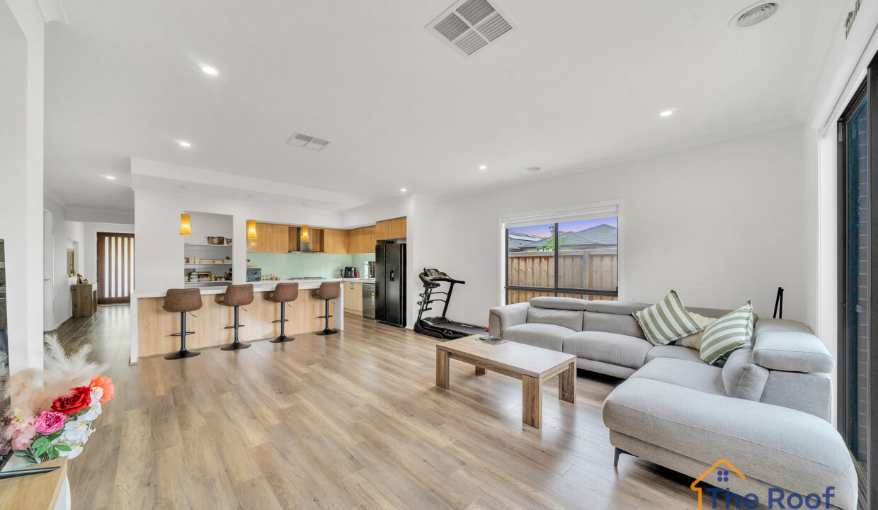 174721653__1763011487-83571-OSMEDIA13