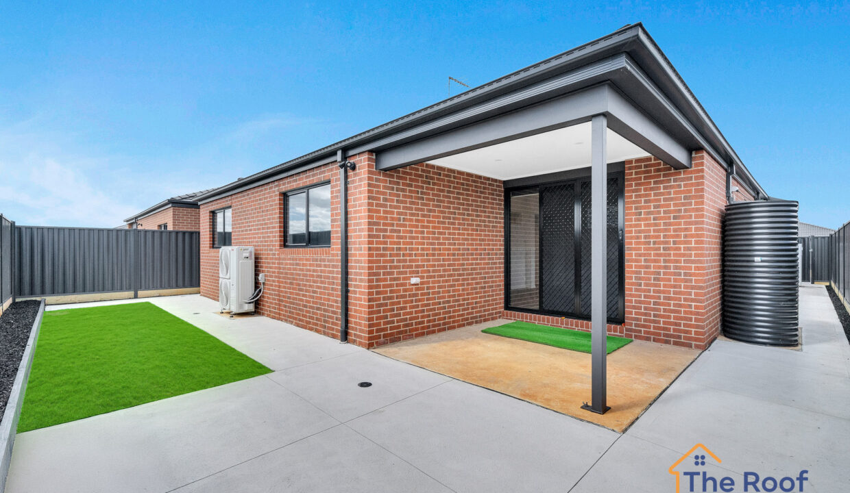 174722739__1763012224-98464-OSMEDIA9-GRASS