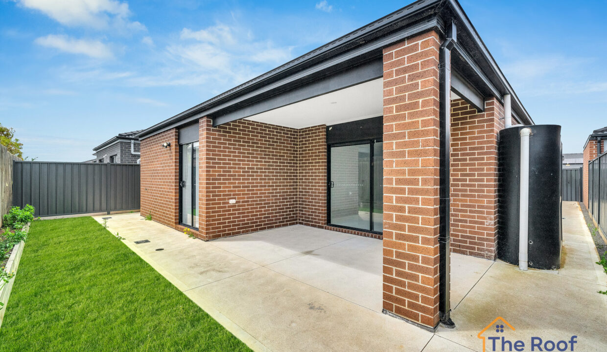 174724757__1763013690-89073-OSMEDIA9GRASS1