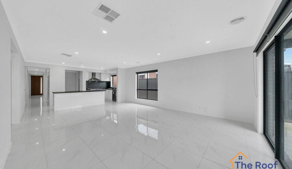 174724767__1763013694-88929-OSMEDIA62