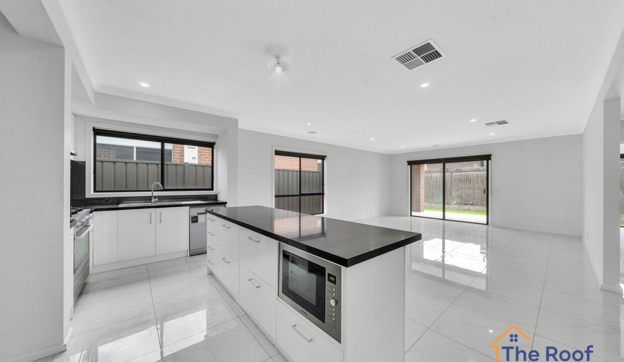 174724775__1763013698-102141-OSMEDIA52