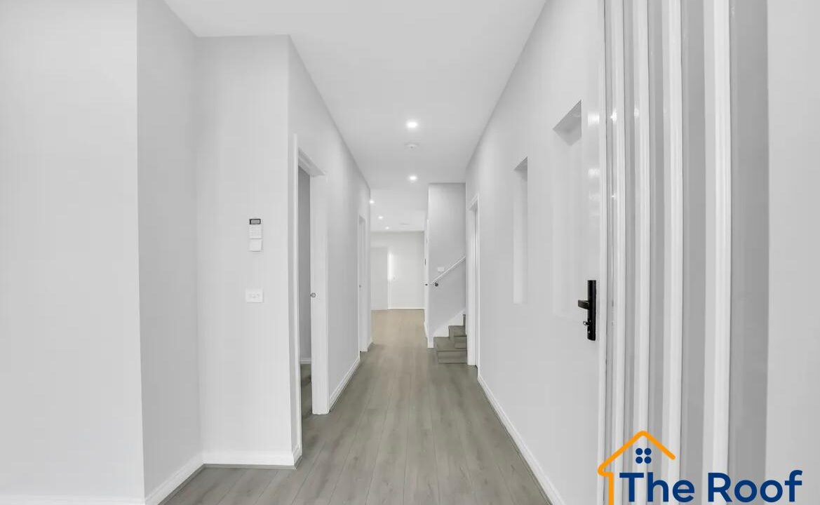 146008981__1746077060-146008981__1746074967-66666-f0708c9c-8f3c-4ec6-a11b-c13770dc3c37