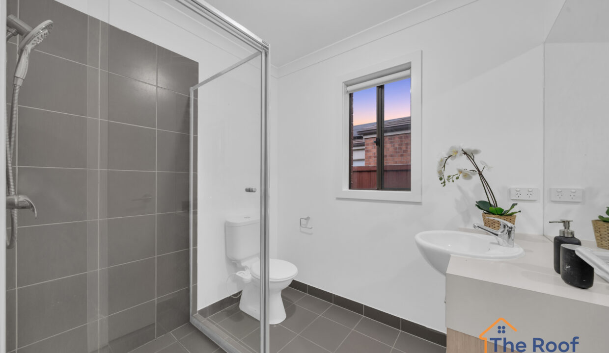 172946456__1762241397-96887-OSMEDIA-2