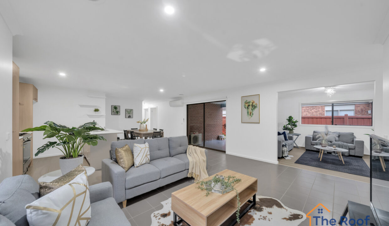 172946564__1762241424-110037-OSMEDIA-7