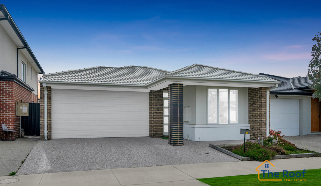 175481255__1763444034-87704-OSMEDIA-7GRASS