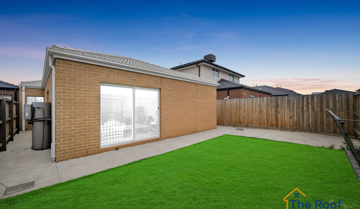 175481359__1763444122-88206-OSMEDIA-17GRASS