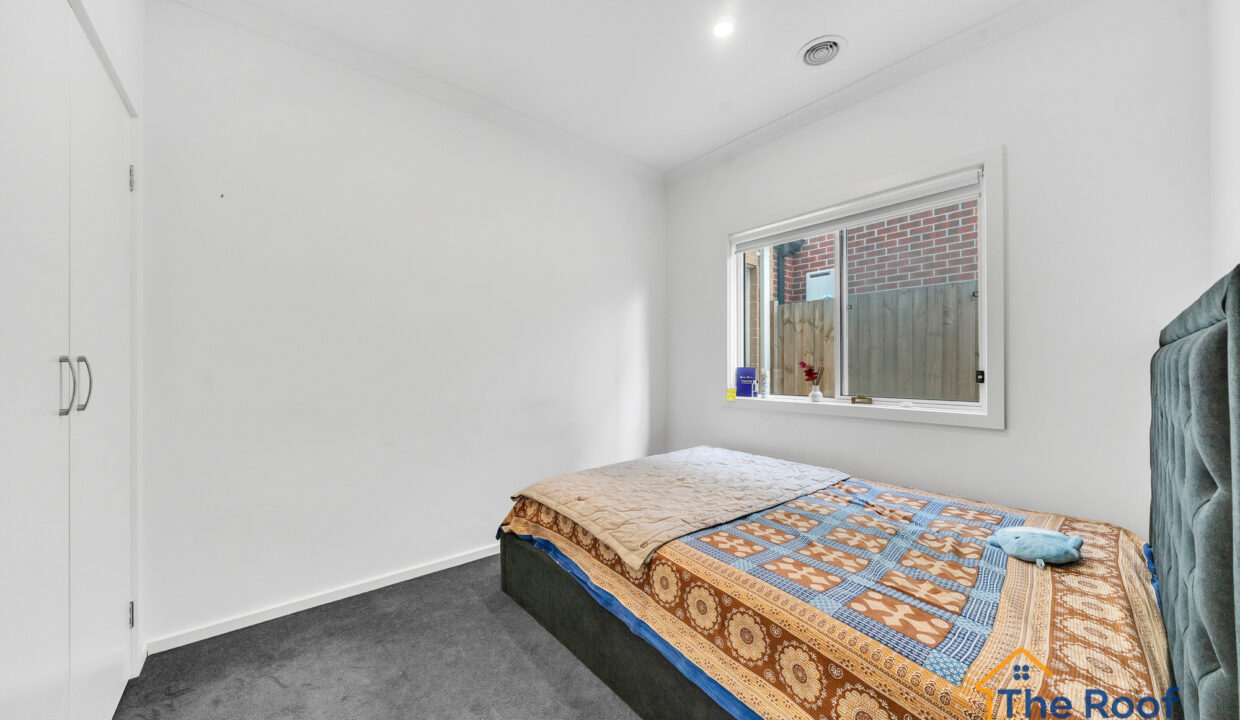 175481811__1763444414-88966-OSMEDIA-6