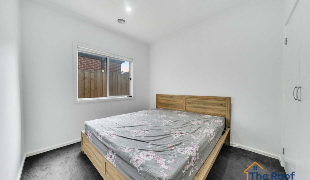 175481847__1763444417-286488-OSMEDIA-5