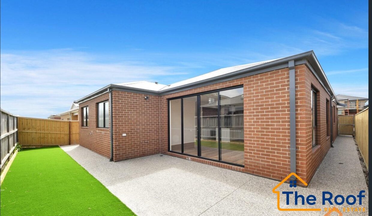 175847532__1763595138-175847532__1763595115-40903-image911