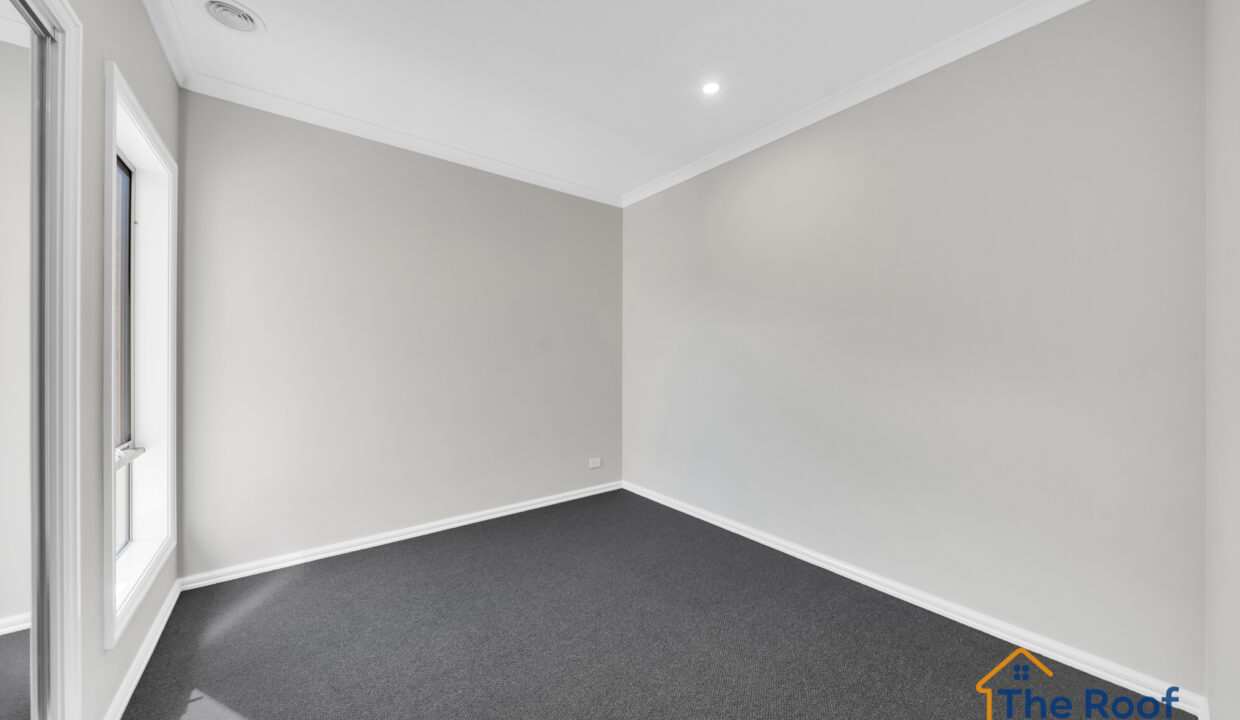 176827054__1764127217-63409-OSMEDIA-2