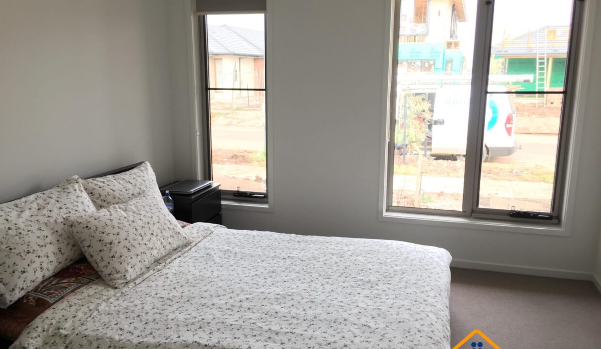 178048693__1764825121-178048693__1764741359-87855-IMG7530