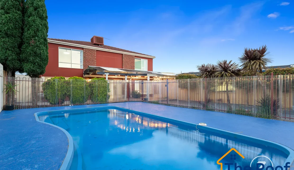 178825697__1765177178-178825697__1765177146-99769-image2