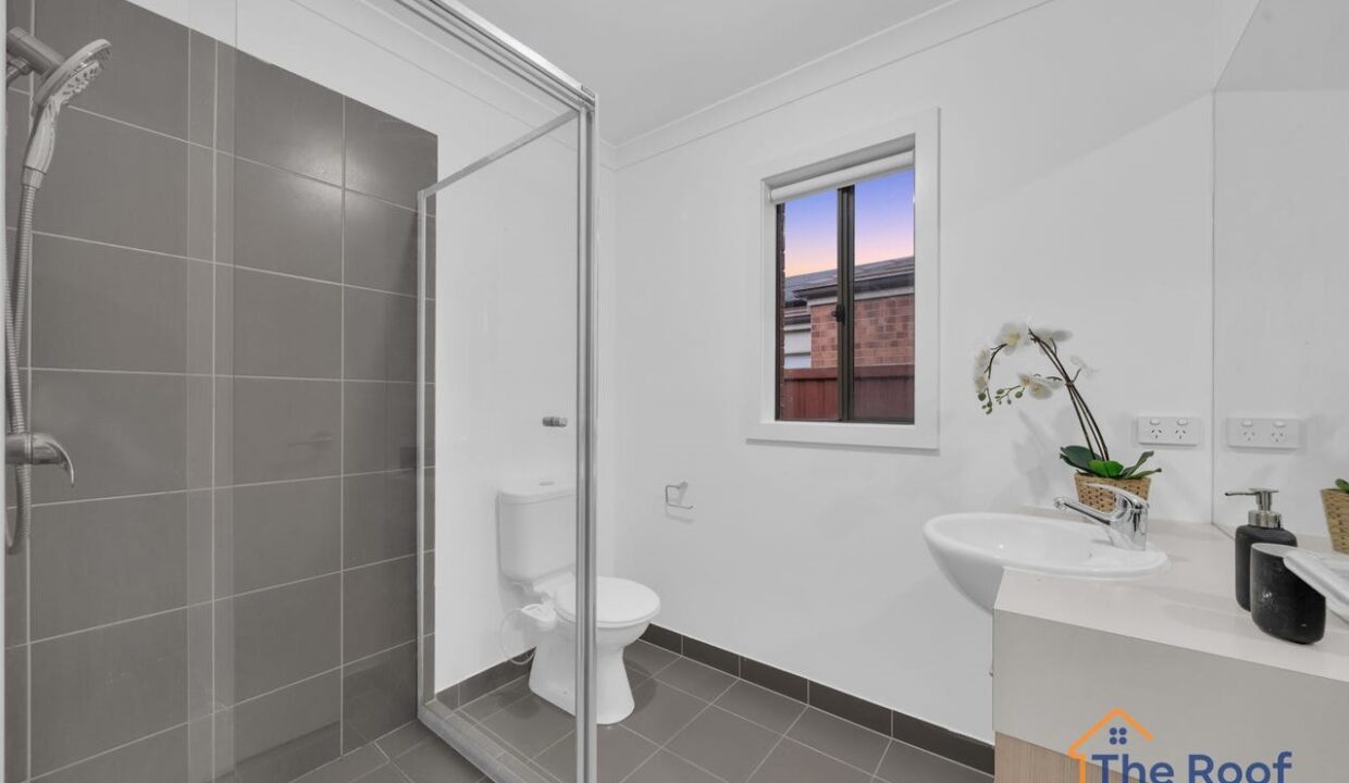 179363275__1765433493-87100-image3