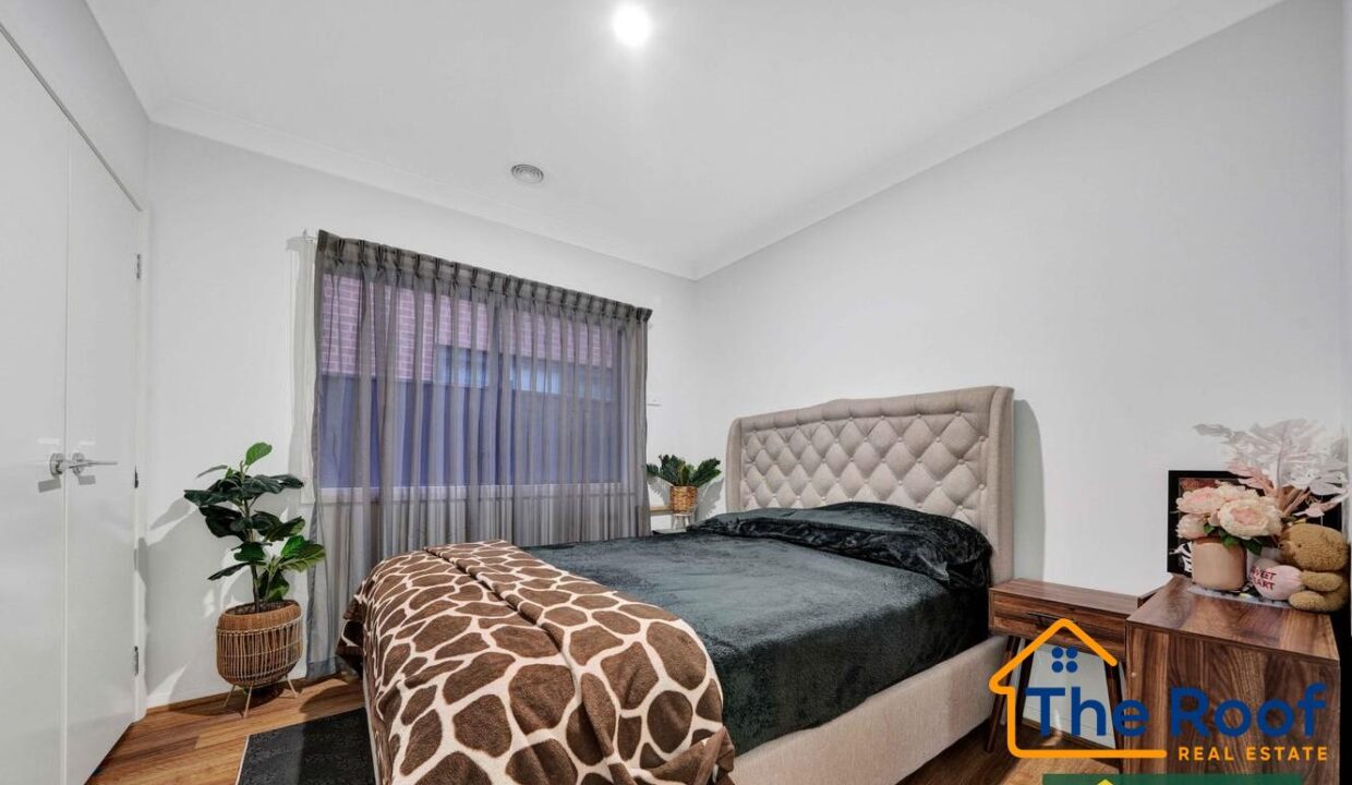 178595005__1764917075-178595005__1764916983-87289-image50