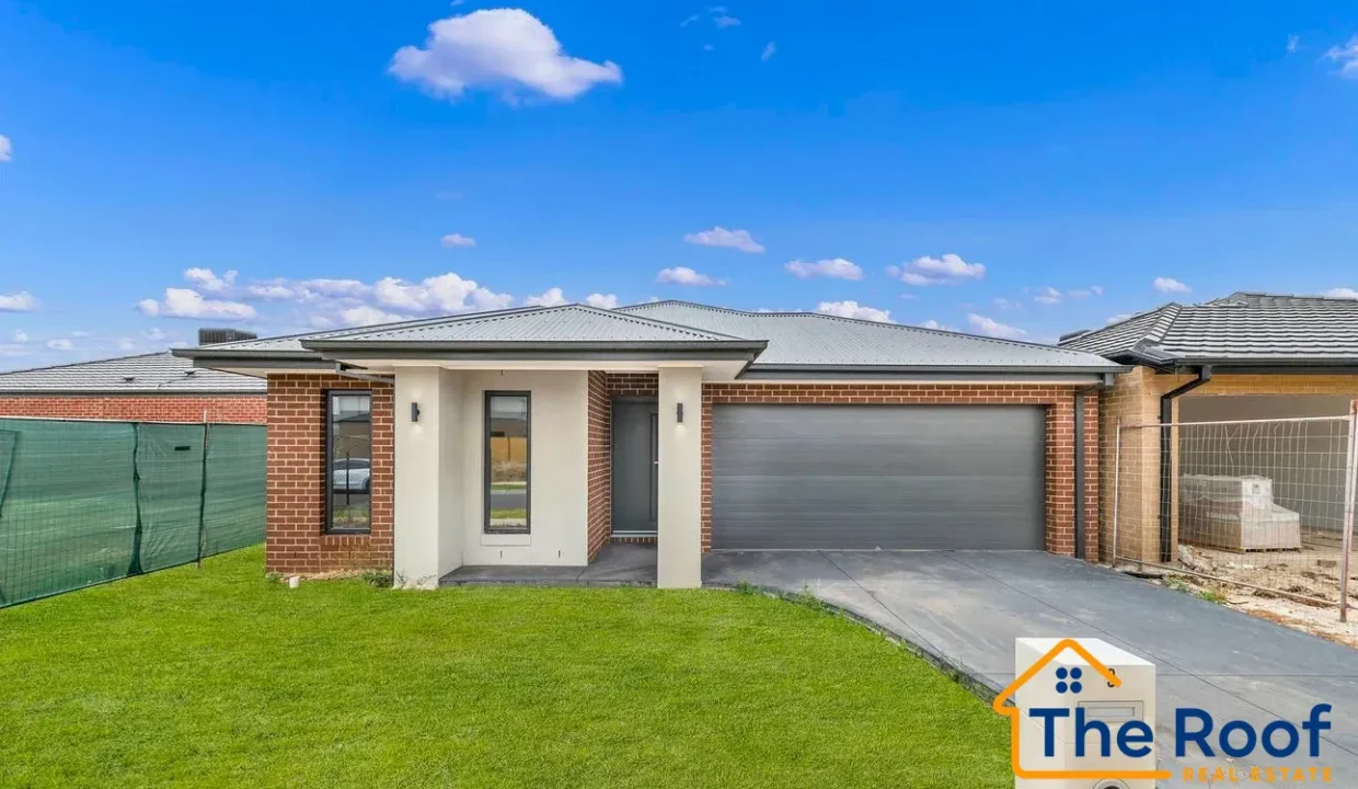 181857650__1767937905-181857650__1767937847-75328-main3