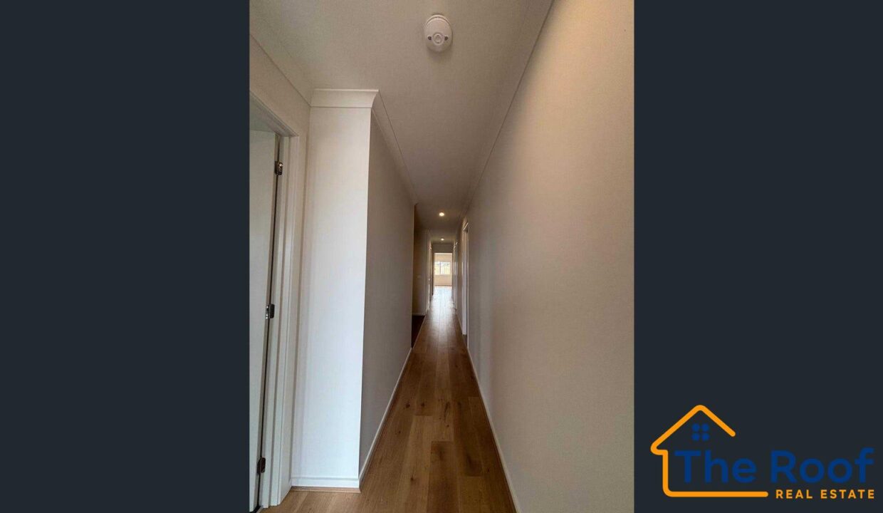 183559678__1768975936-183559678__1768975849-87944-image73