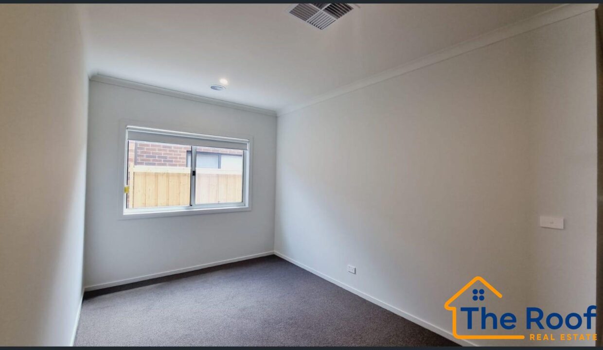 183559784__1768975937-183559784__1768975895-88196-image84