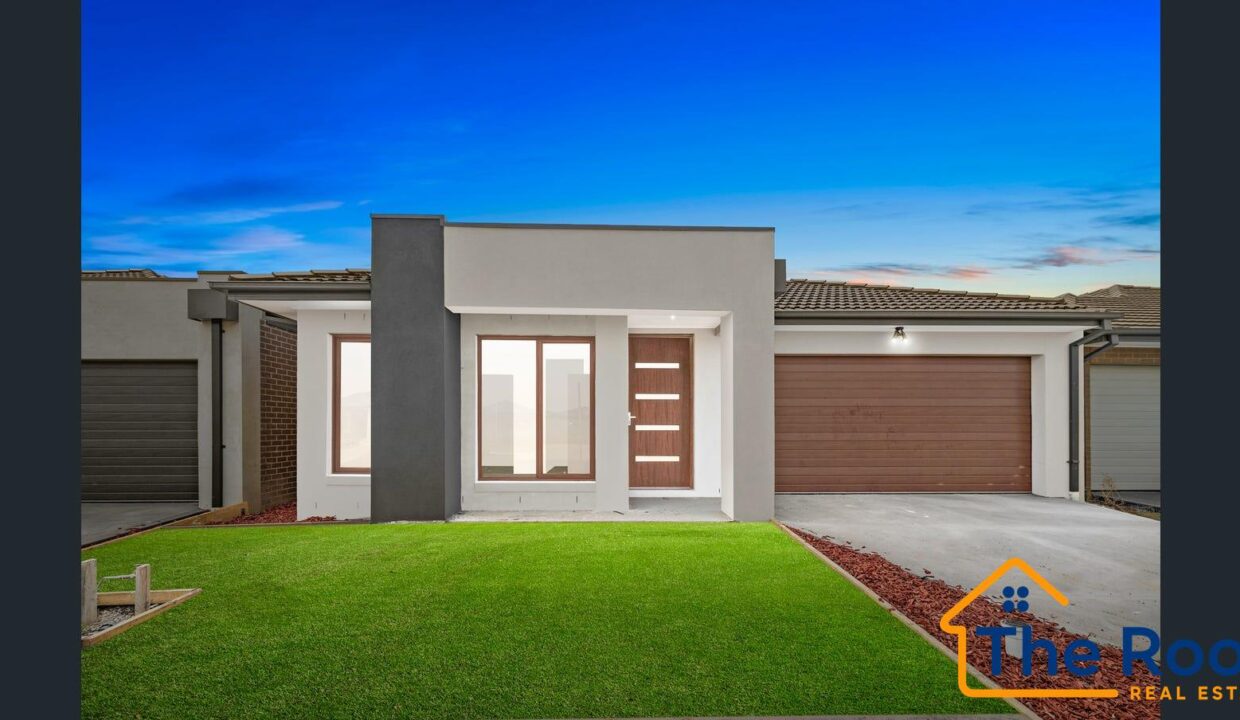 185899070__1770369599-185899070__1770369509-104250-main2