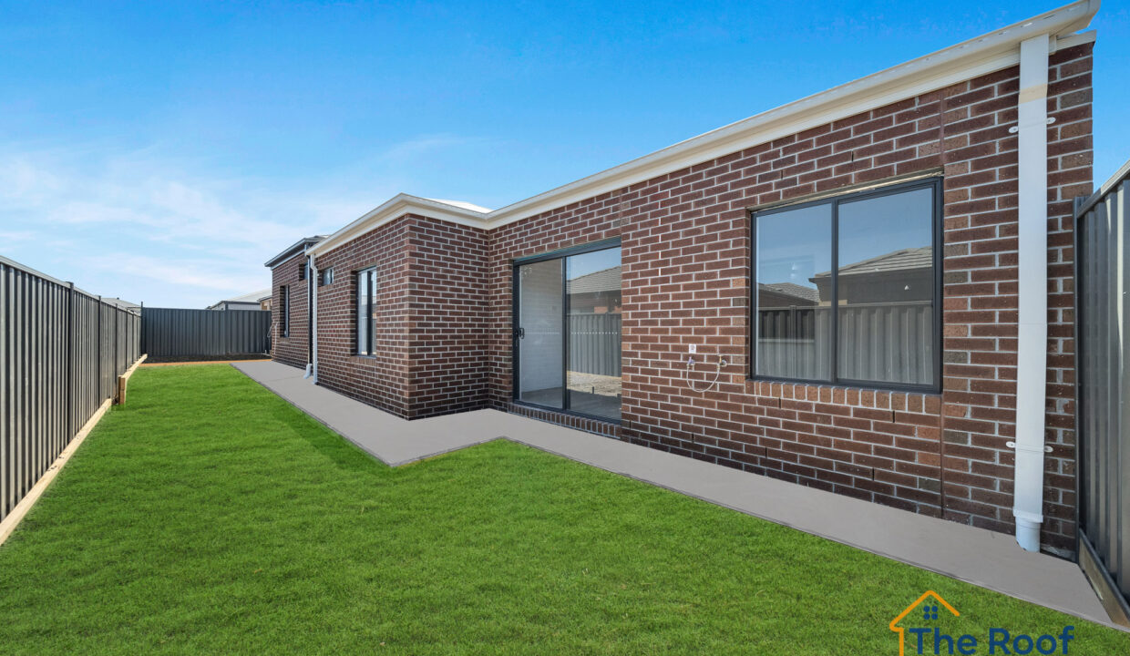 186167277__1770611528-234300-OSMEDIA-9GRASS1