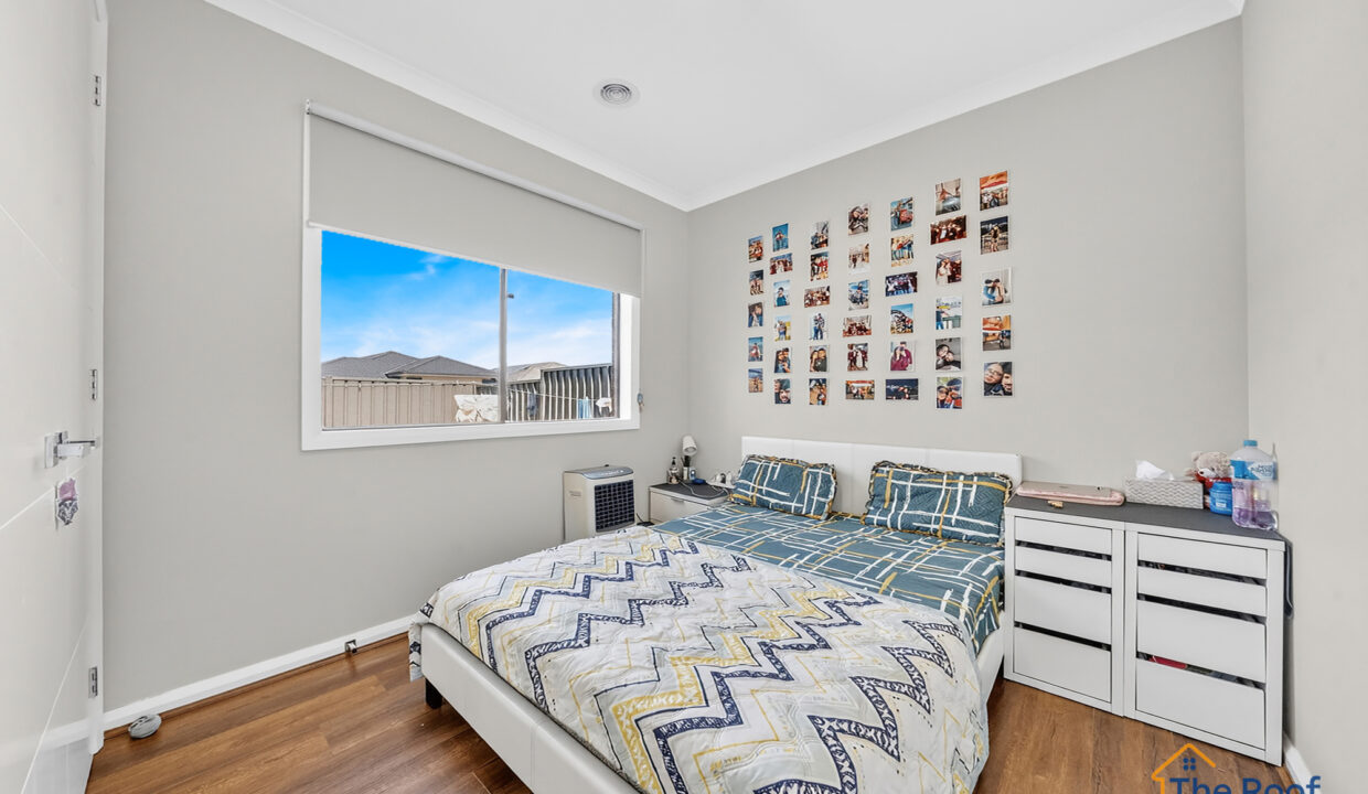 186515781__1770769553-36160-Osmedia-7