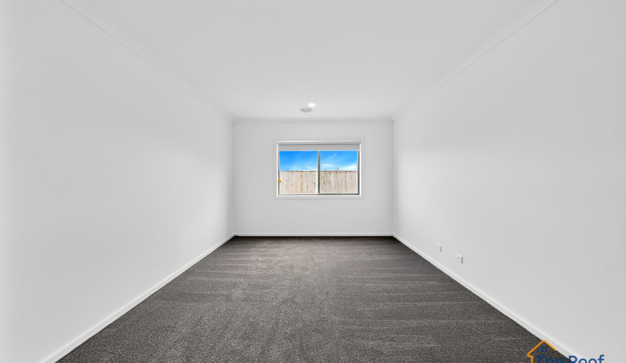 187274987__1771211168-355279-68WinfredTheroof-Day-5