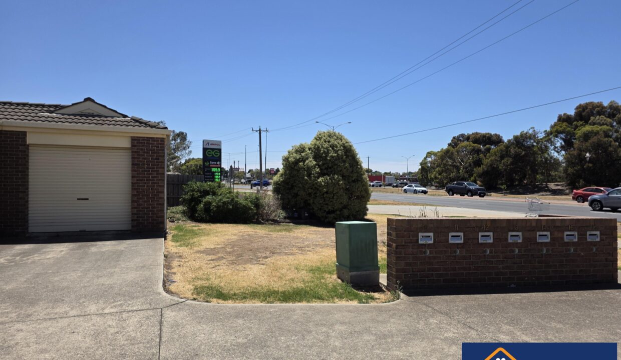 187542102__1771324174-186305781__1770684438-40266-20260203131339