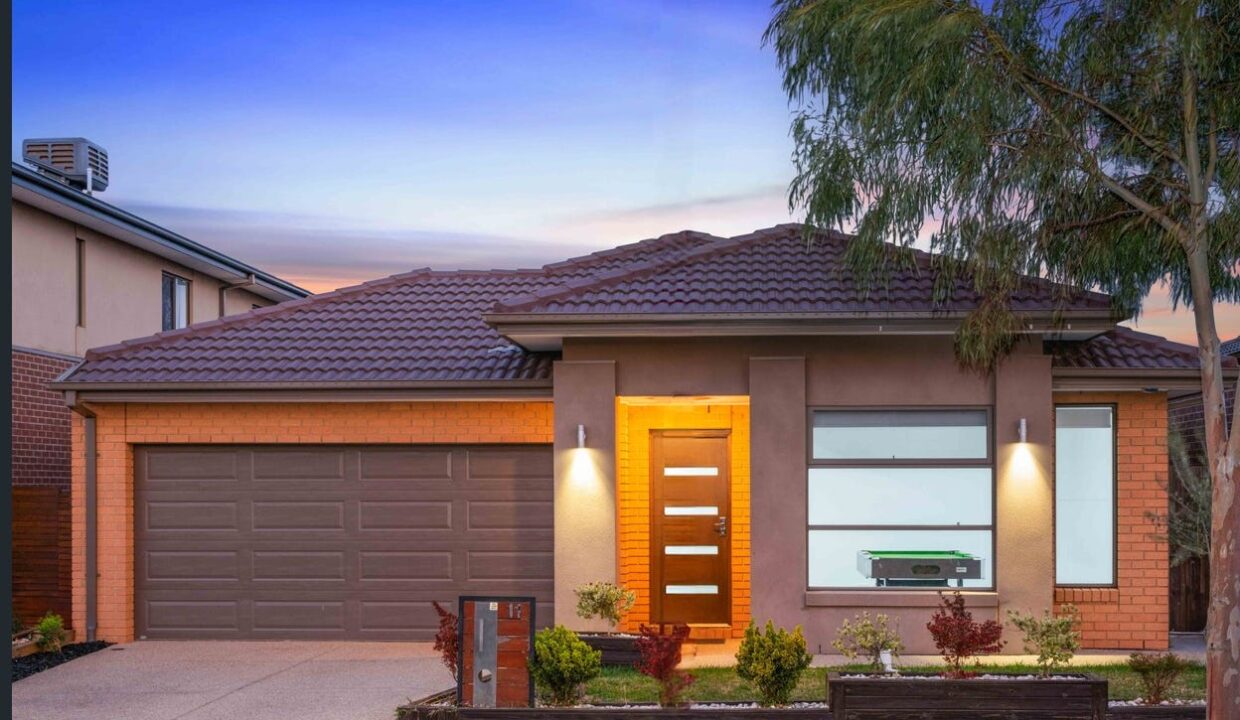 142831816__1743746214-236460-main