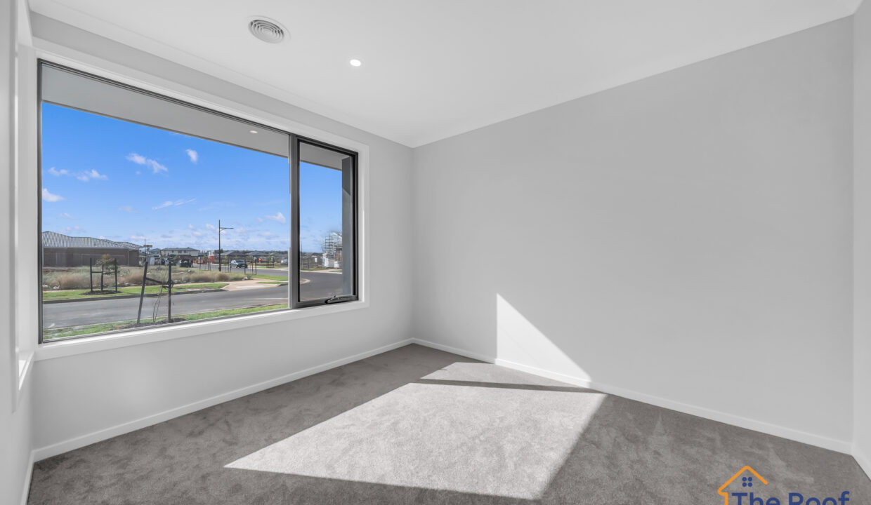 147087641__1746693243-91178-01