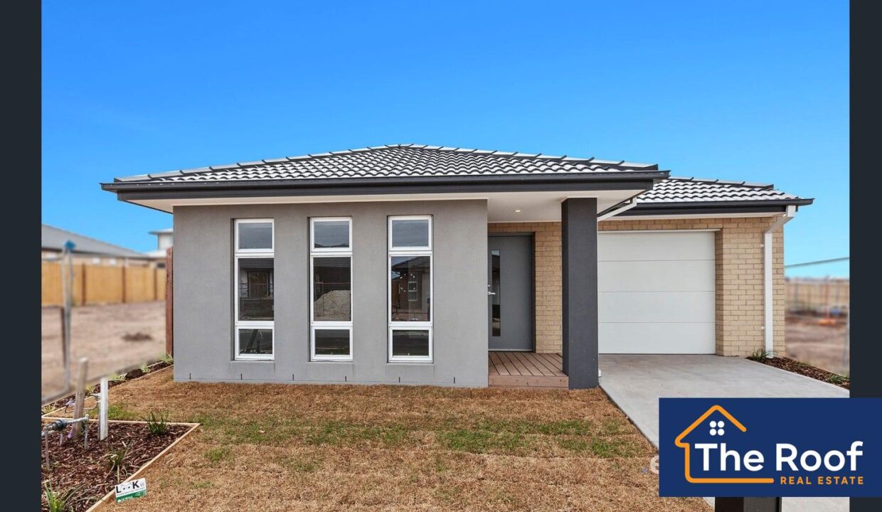 148666138__1747802044-148666138__1747801941-74028-image