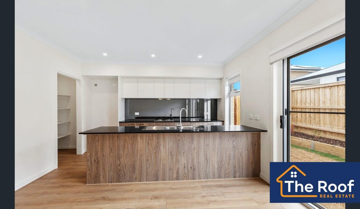 148666199__1747802045-148666199__1747801946-74048-image3