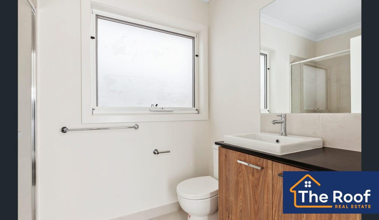 148666327__1747802045-148666327__1747801954-74218-image7