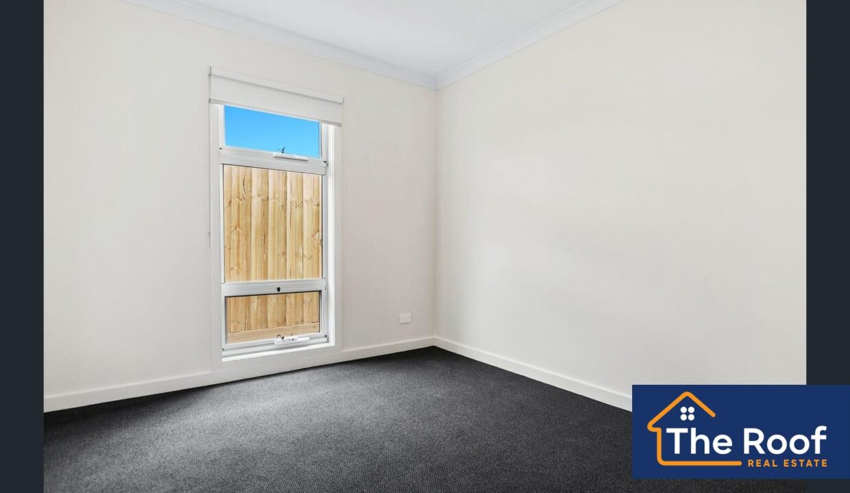 148666402__1747802045-148666402__1747801958-65010-image9