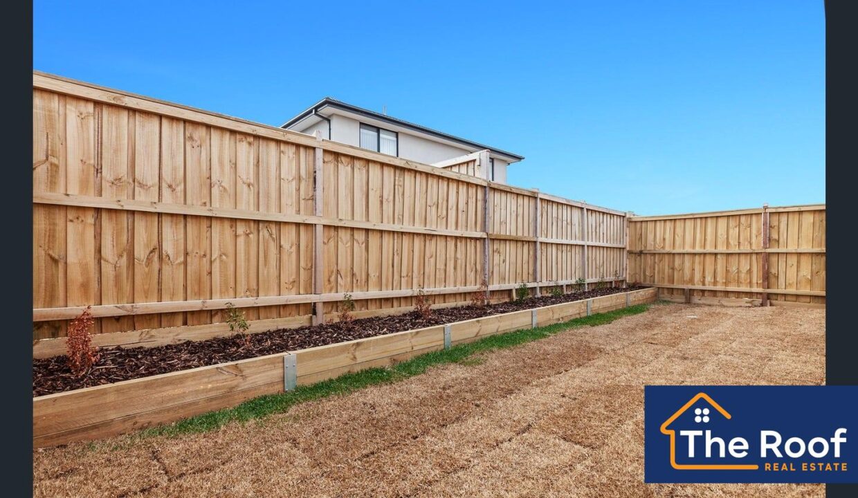 148666525__1747802045-148666525__1747801967-74215-image14