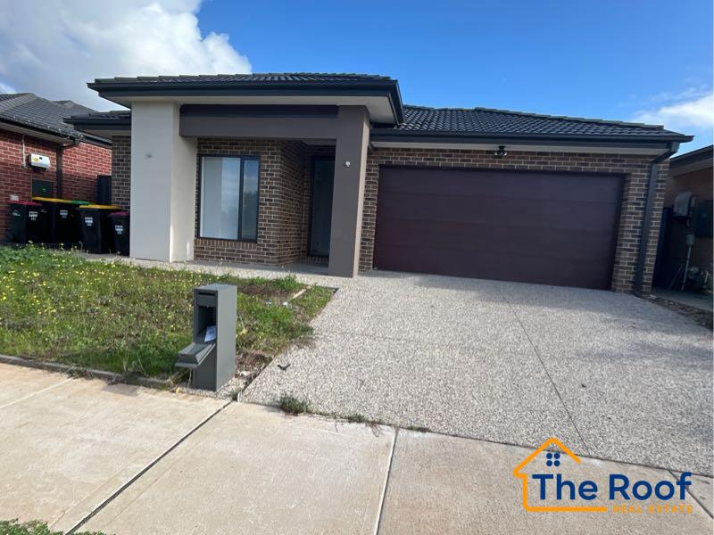 151107672__1749626719-151107605__1749626606-251790-48608